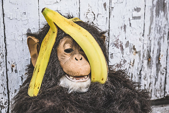 在线DDOS平台攻击